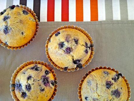 Blaubeer Muffins fructosefrei, laktosefrei, ohne Ei