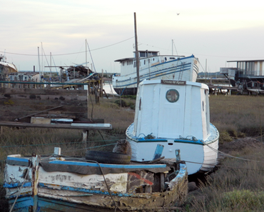 Wir jagen den Sonnenuntergang #2