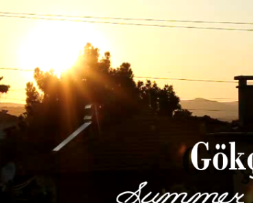 wallpaper-1689754