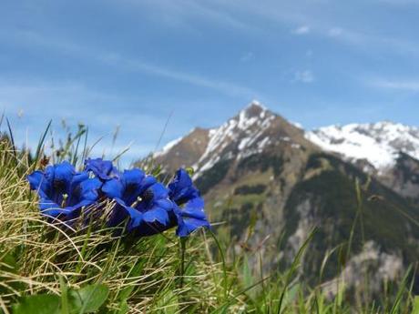 Herrliche Bergwelt in Südtirol Foto: © by paul - Fotolia.com