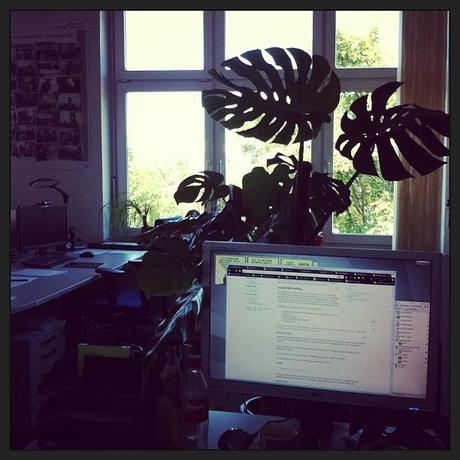 Heute wieder im Dschungelbüro, wo es angenehm kühl und ruhig ist... #freiearbeitsplatzwahl - via Instagram