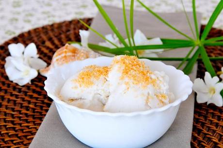 Cremiges Kokosnuss-Eis mit gerösteten Kokosflocken vegan & fructosearm
