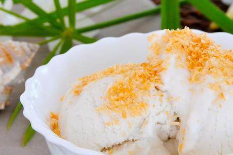 Cremiges Kokosnuss-Eis mit gerösteten Kokosflocken vegan & fructosearm