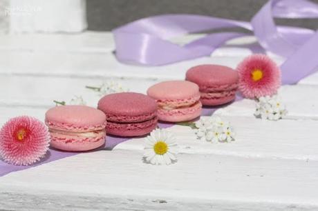 Maison Macaron