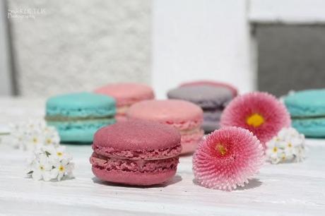 Maison Macaron