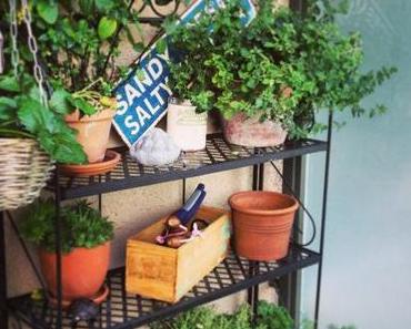 Der Frage-Foto-Freitag