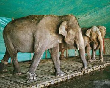 Was sagst du dazu? I