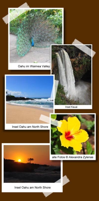 [Blogtour] Hawaii – Fragerunde