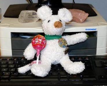 Eine Maus auf Reisen