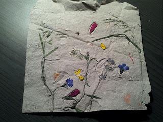 Papierschöpfen mit Blüten & Gräsern