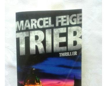 Trieb von Marcel Feige / Martin Krist