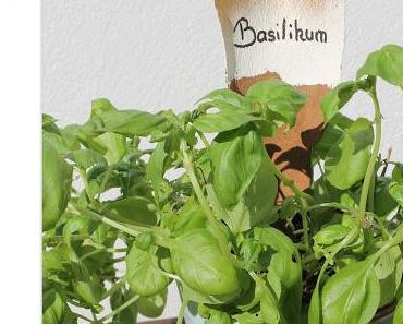 Das Kräuterbeet aka Gib dem Kind 'nen Namen