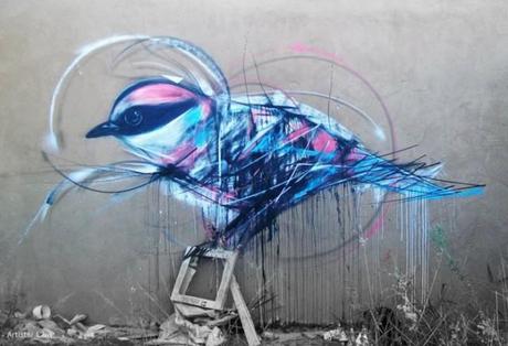 Graffiti Birds in Brasilien von L7m