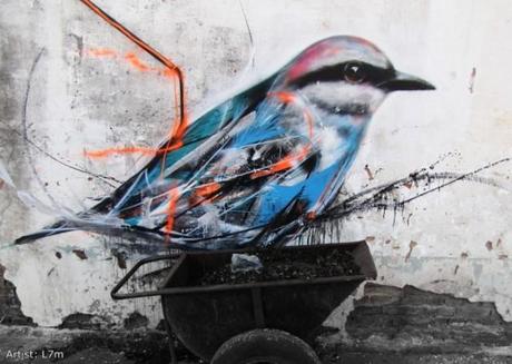Graffiti Birds in Brasilien von L7m