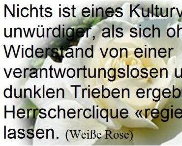 wallpaper-1689754