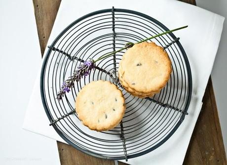 Lavendel Keks Kuchengitter Blüte Köstlich 