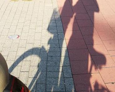 12 von 12 | August 2013