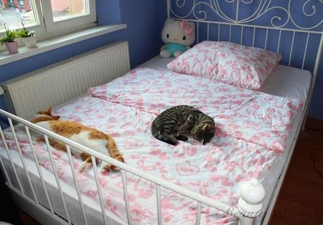 Neues Bett + Mädchenbettwäsche ♥