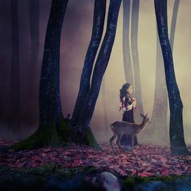 Mystical journey by Caras Ionut on 500px.com