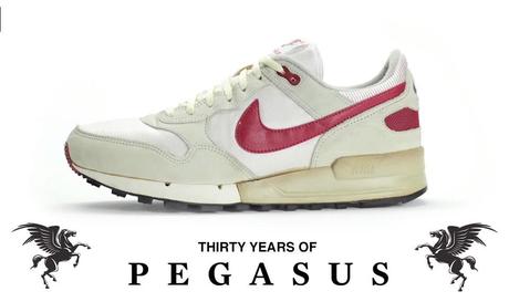 30 Jahre Nike Air Pegasus