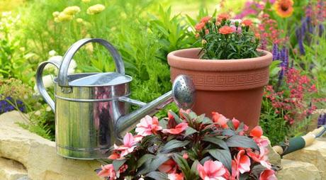 5-Tipps-für-einen-exklusive-Gartengestaltung