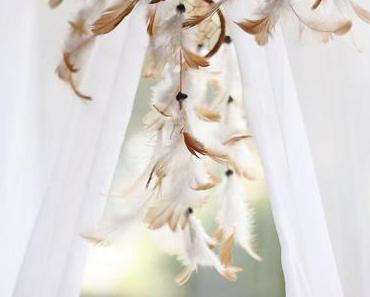 SNAPSHOTS: MY ROOM, MY CAT, MY DINNER