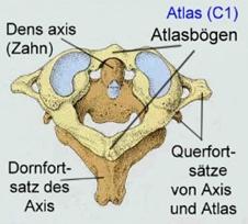 Atlaslogie