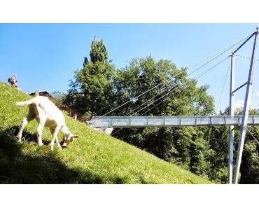 Gummibeine über der Schlucht