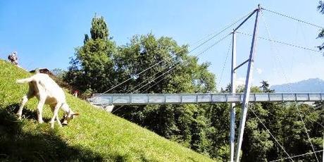 Gummibeine über der Schlucht