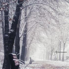 First Snow :-)  by Adel Maghsoodi on 500px.com