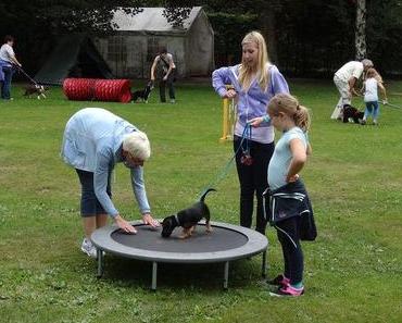 Welpenstunde – wirklich erlebenswert