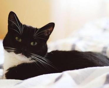 SNAPSHOTS: NOT AN OUTFIT