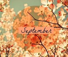 Hello September