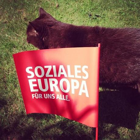 Soziales Europa für uns alle Katze Instagram