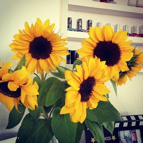 Sonnenblumen Nagellackregal Instagram