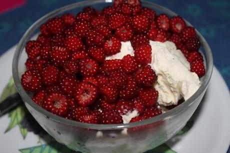 Foodporn: Japanische Weinbeeren ... eine wahre Versuchung (mit Swedish Glace Vanille)