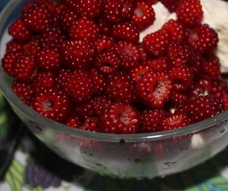 Foodporn: Japanische Weinbeeren ... eine wahre Versuchung (mit Swedish Glace Vanille)