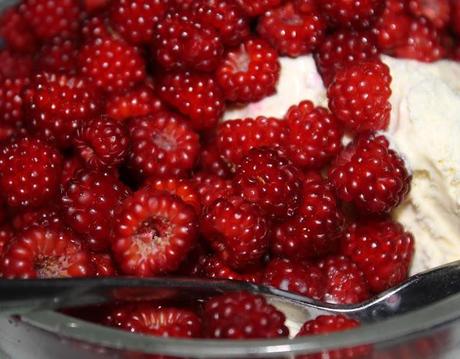 Foodporn: Japanische Weinbeeren ... eine wahre Versuchung (mit Swedish Glace Vanille)