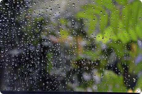 Hochzeit Lisa und Basti (29)