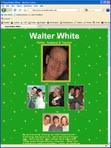 Save Walter White Website