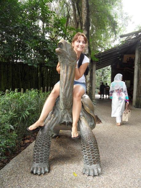 Komische Tiere im Zoo von Singapur ;)