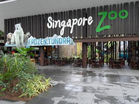 Zoo von Singapur