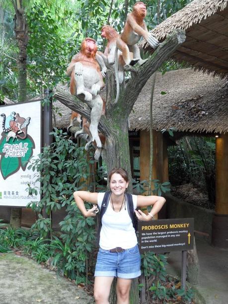 Affen im Zoo von Singapur