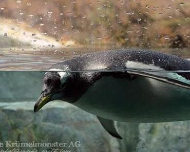 Im Wasser [Zoo Frankfurt]