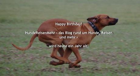 HundeReisenMehr-Geburtstag
