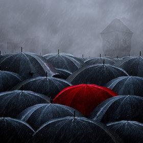 Dare to be different by Caras Ionut on 500px.com