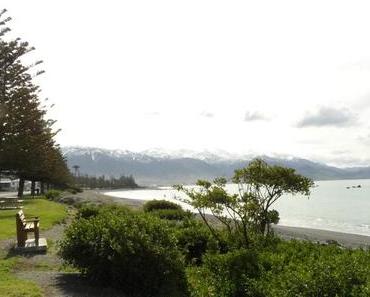 Die Ostküste hoch in den Norden…Kaikoura, Picton, Abel Tasman Nationalpark