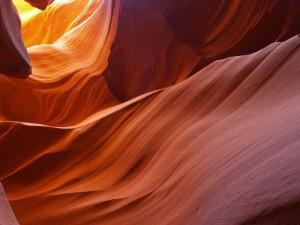wallpaper-1689754