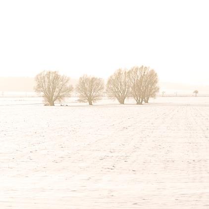 12view January, nordeutsche Landschaft im Wandel der Jahreszeiten