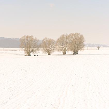 12view March, Norddeutsche Landschaft im Wandel der Jahreszeiten
